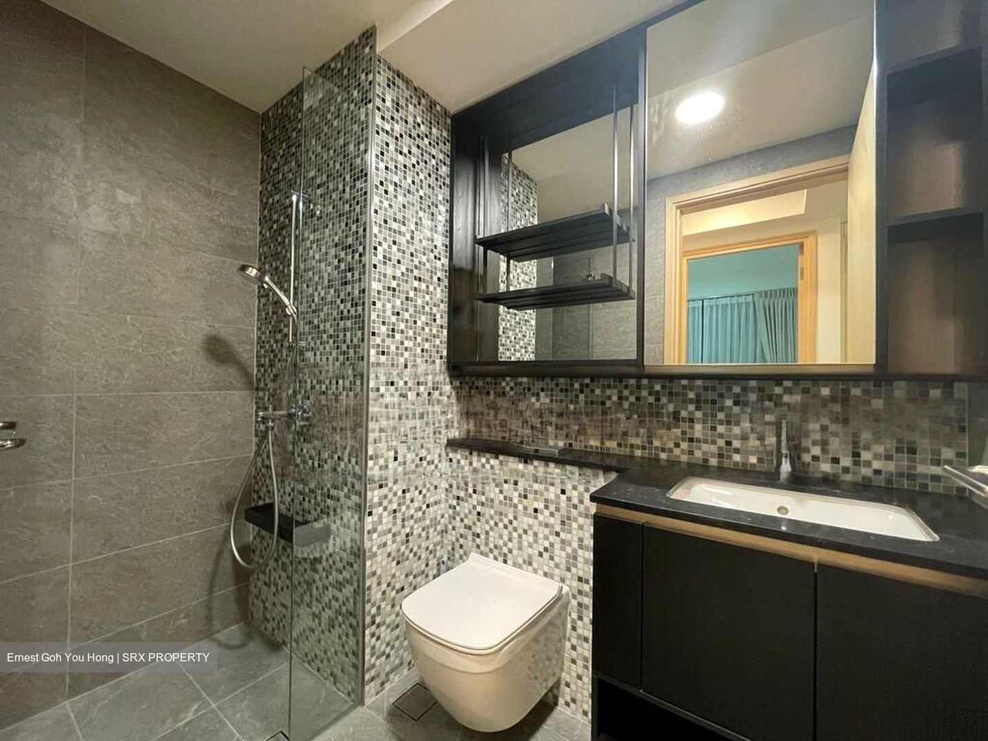 The Antares (D14), Apartment #457658271
